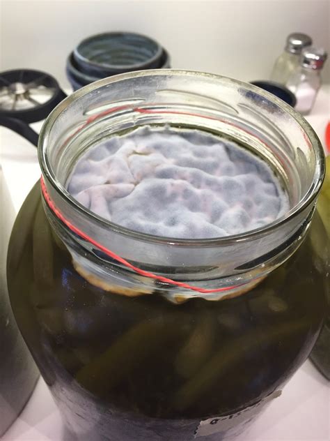 Can mold grow in a pickle jar?