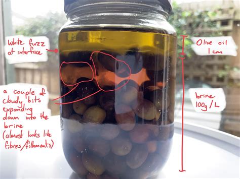 Can mold grow in olive brine?