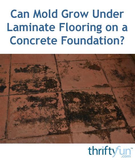 Can mold grow under laminate flooring on concrete?