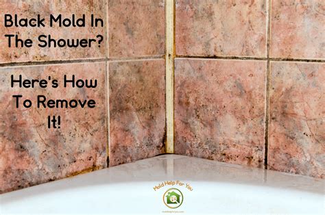 Can mold grow under shower tiles?