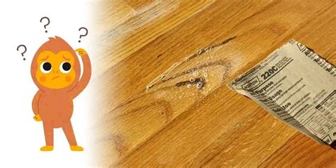 Can mold grow under vinyl plank flooring?