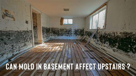 Can mold in basement affect upstairs?