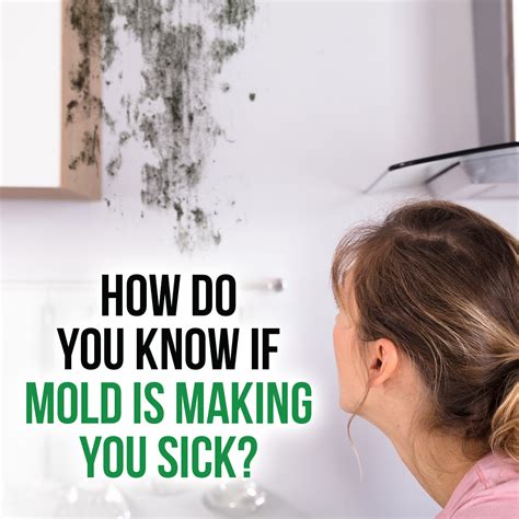 Can mold make you sick?