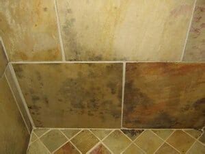 Can mold penetrate tile?