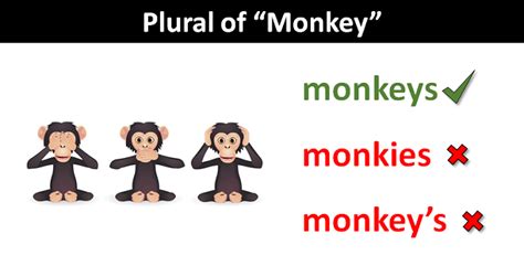 Can monkey be plural?