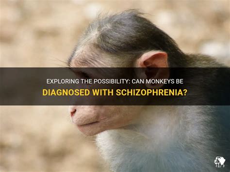 Can monkeys have schizophrenia?