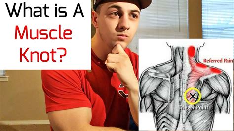 Can muscles actually be tight?