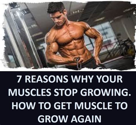 Can muscles grow if you don't stretch?