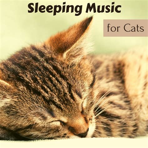 Can music make cats sleep?