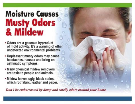 Can musty smell make you sick?