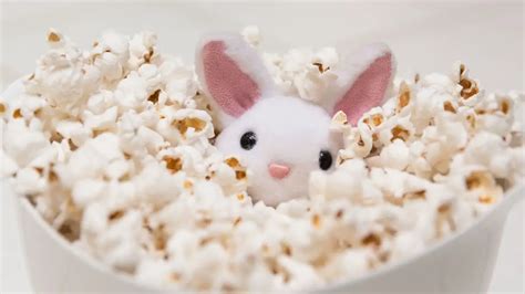 Can my bunny eat popcorn?
