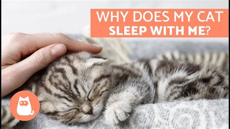 Can my cat sleep with me after I have surgery?