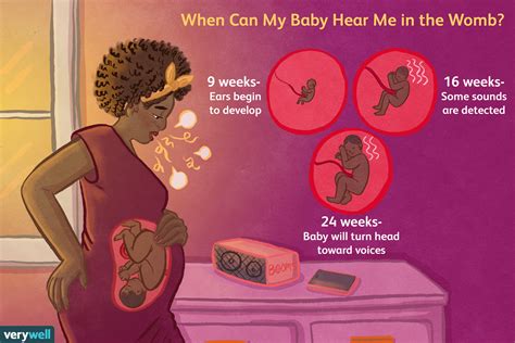 Can my dog hear my baby in the womb?