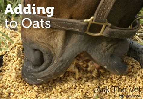 Can my horse eat oats?