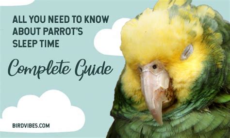 Can my parrot sleep with me?