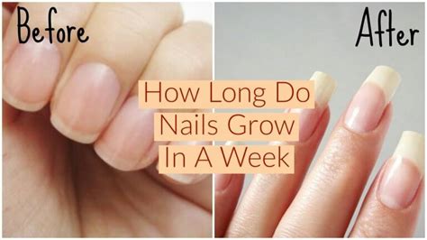 Can nails grow in 9 days?