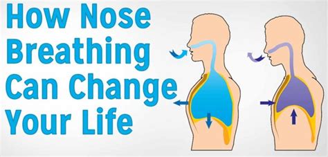 Can nose breathing fix your face?
