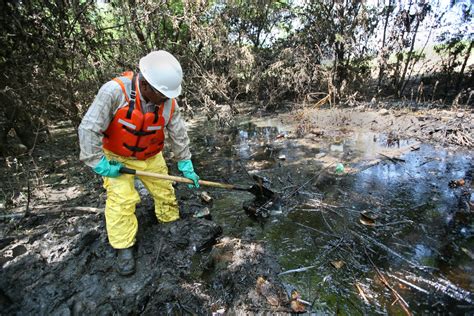 Can oil damage soil?