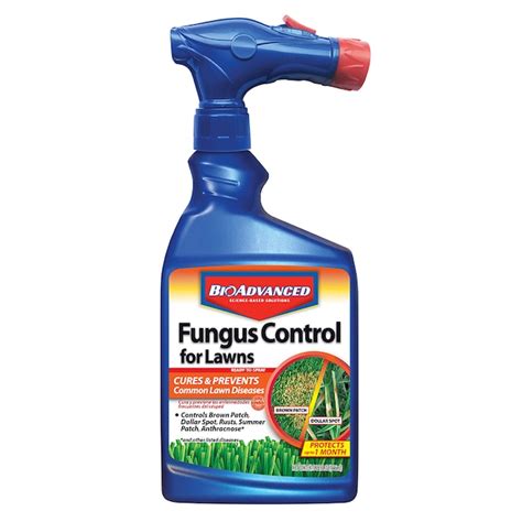 Can oil remove fungus?