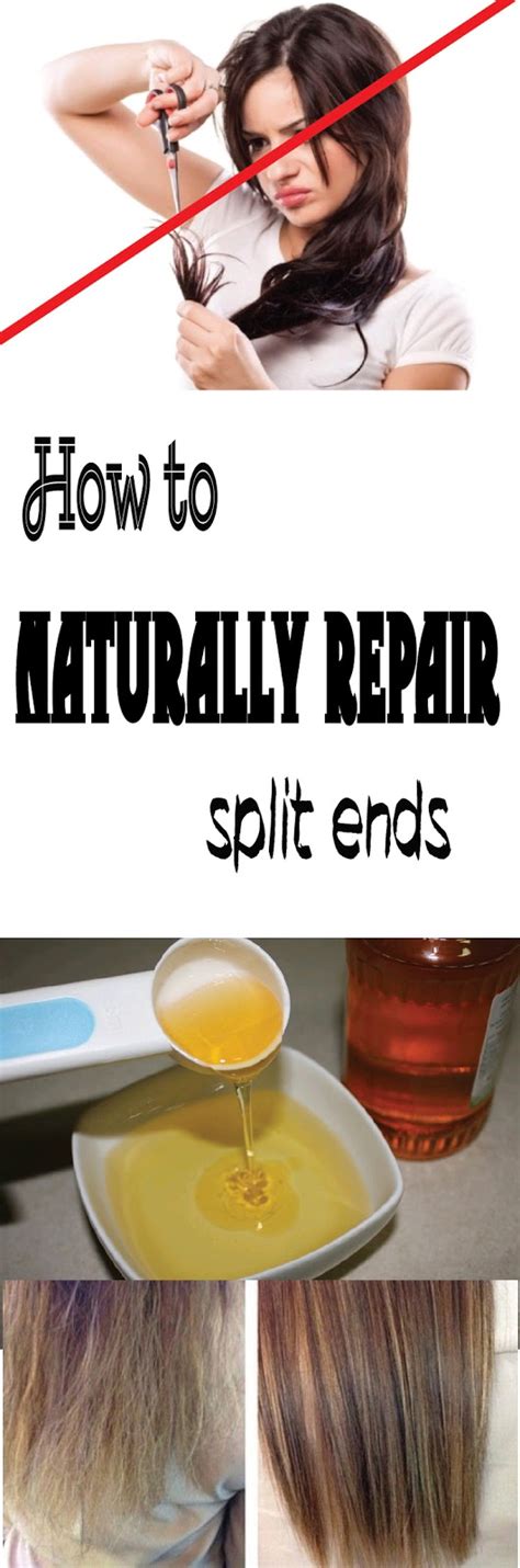 Can oiling repair split ends?