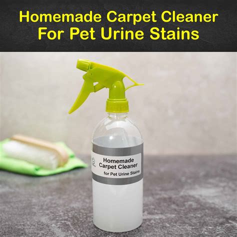 Can old pet urine stains be removed from carpet?