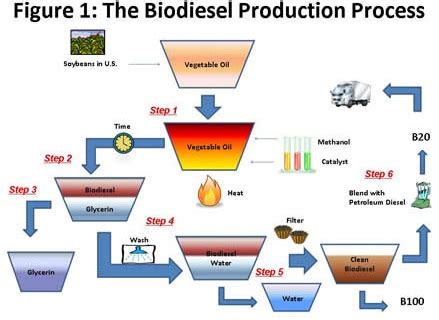 Can olive oil be used for biodiesel?