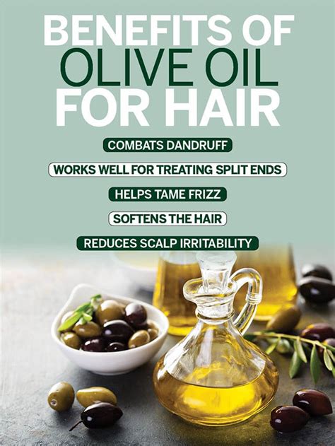 Can olive oil be used on dry hair?