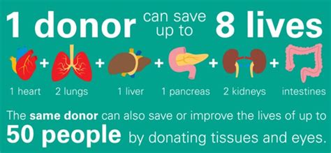 Can one donor save 8 lives?