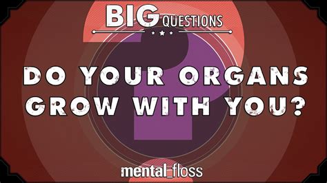 Can organs grow bigger?