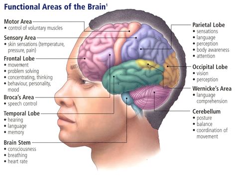 Can our brains process 8K?