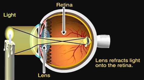 Can our eyes see 4D?