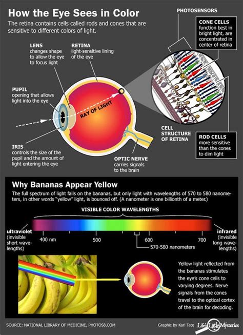 Can our eyes see infinitely?