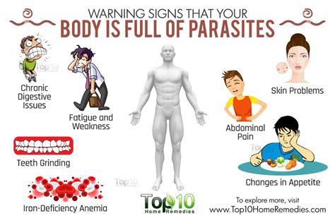 Can parasites cause muscle pain?