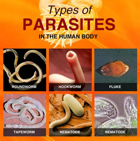 Can parasites cause nerve problems?