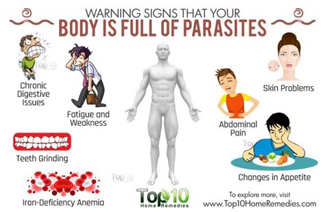 Can parasites cause overweight?