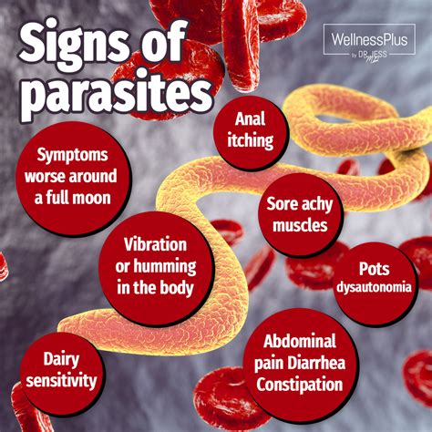 Can parasites cause permanent damage?