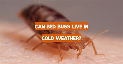 Can parasites live in cold weather?