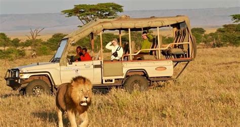 Can parents see your private Safari?