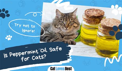 Can peppermint oil hurt cats?