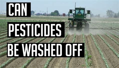 Can pesticides be washed off?