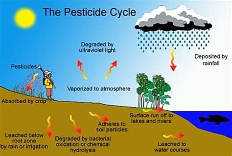 Can pesticides evaporate?