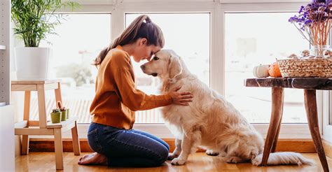 Can pets have mental illness?