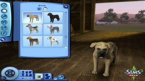 Can pets in Sims 3 have babies?