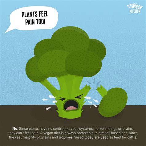 Can plants feel you?