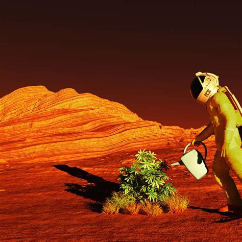 Can plants grow on Mars?