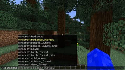 Can players see my commands in Minecraft?