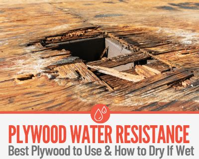 Can plywood handle moisture?