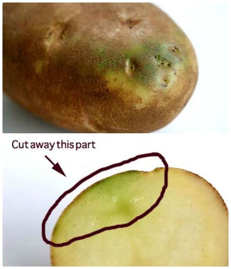 Can potatoes cause solanine poisoning?