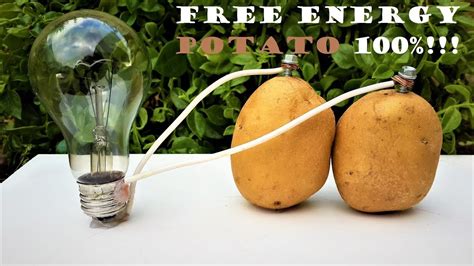 Can potatoes pass electricity?