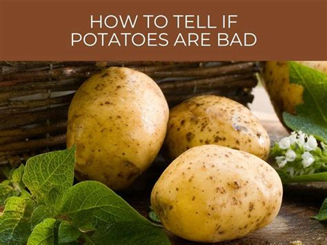 Can potatoes smell sour?